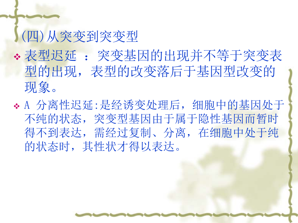 抗生素-6.ppt 第4页