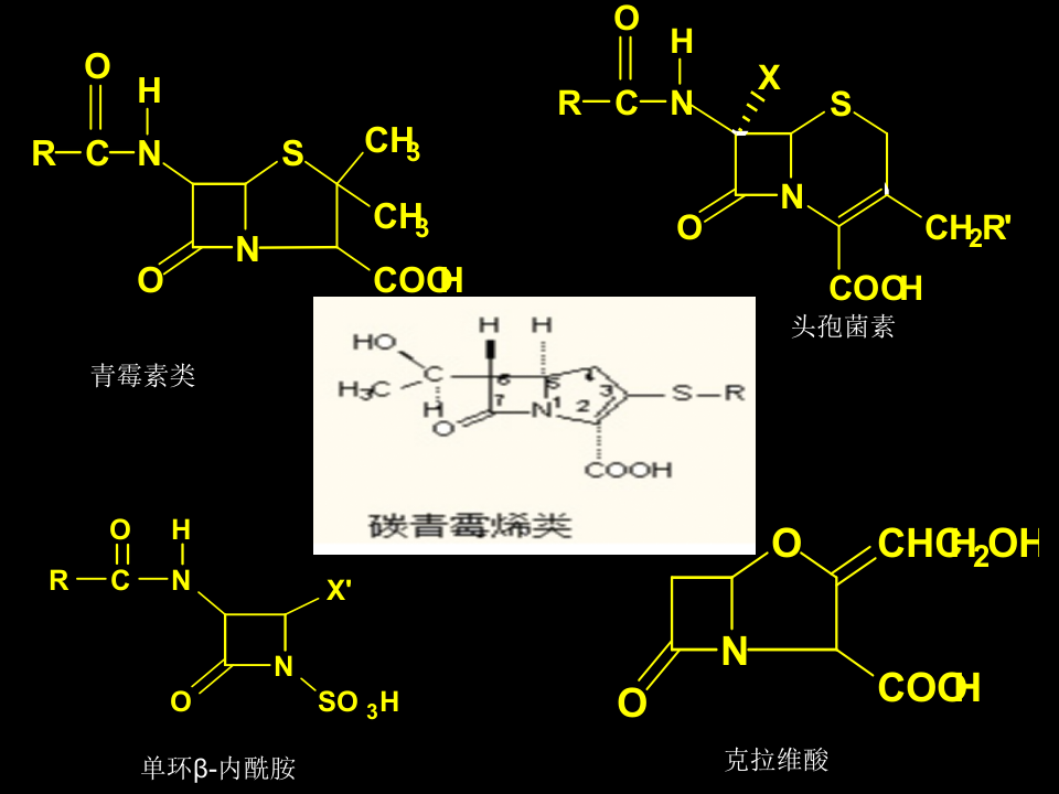 抗生素-16.ppt 第2页