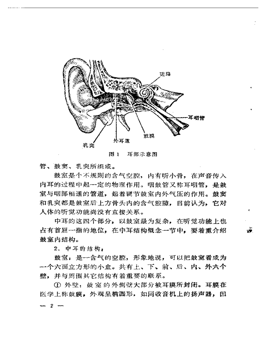 化脓性中耳炎.pdf 第5页