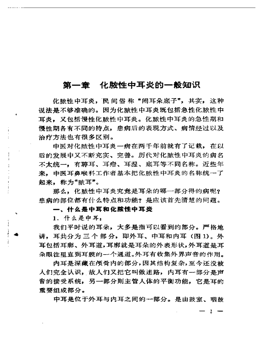 化脓性中耳炎.pdf 第4页
