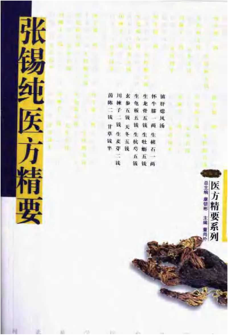 医方精要系列—张锡纯医方精要（高清版）.pdf 第1页