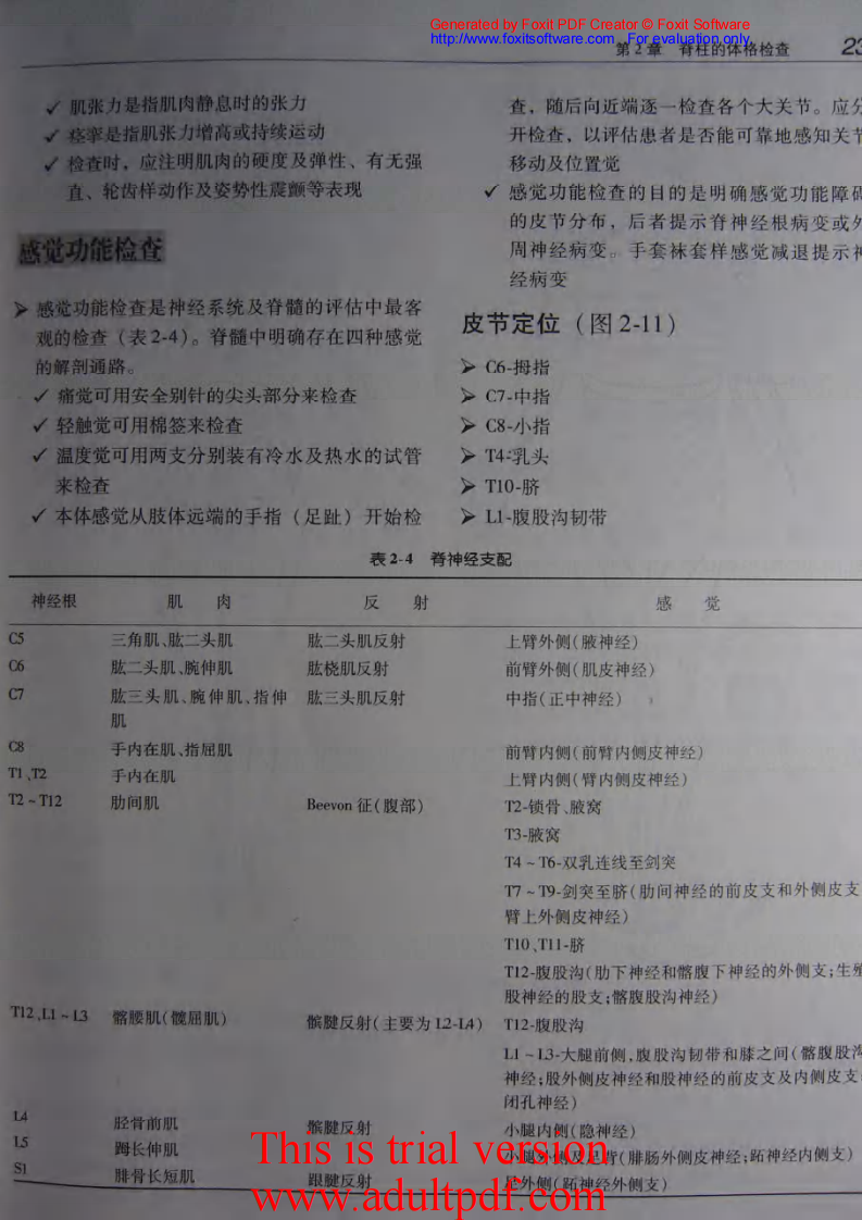 骨科核心知识—脊柱.pdf 第1页