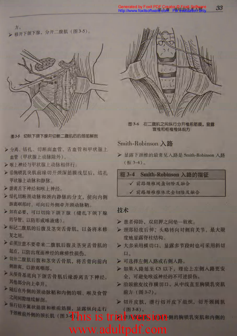骨科核心知识—脊柱.pdf 第5页