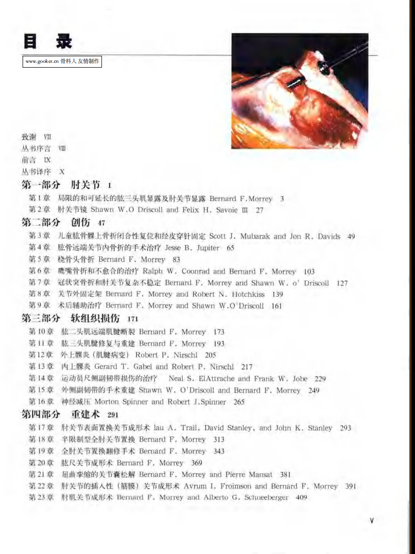 骨科标准手术技术丛书—肘.pdf 第1页