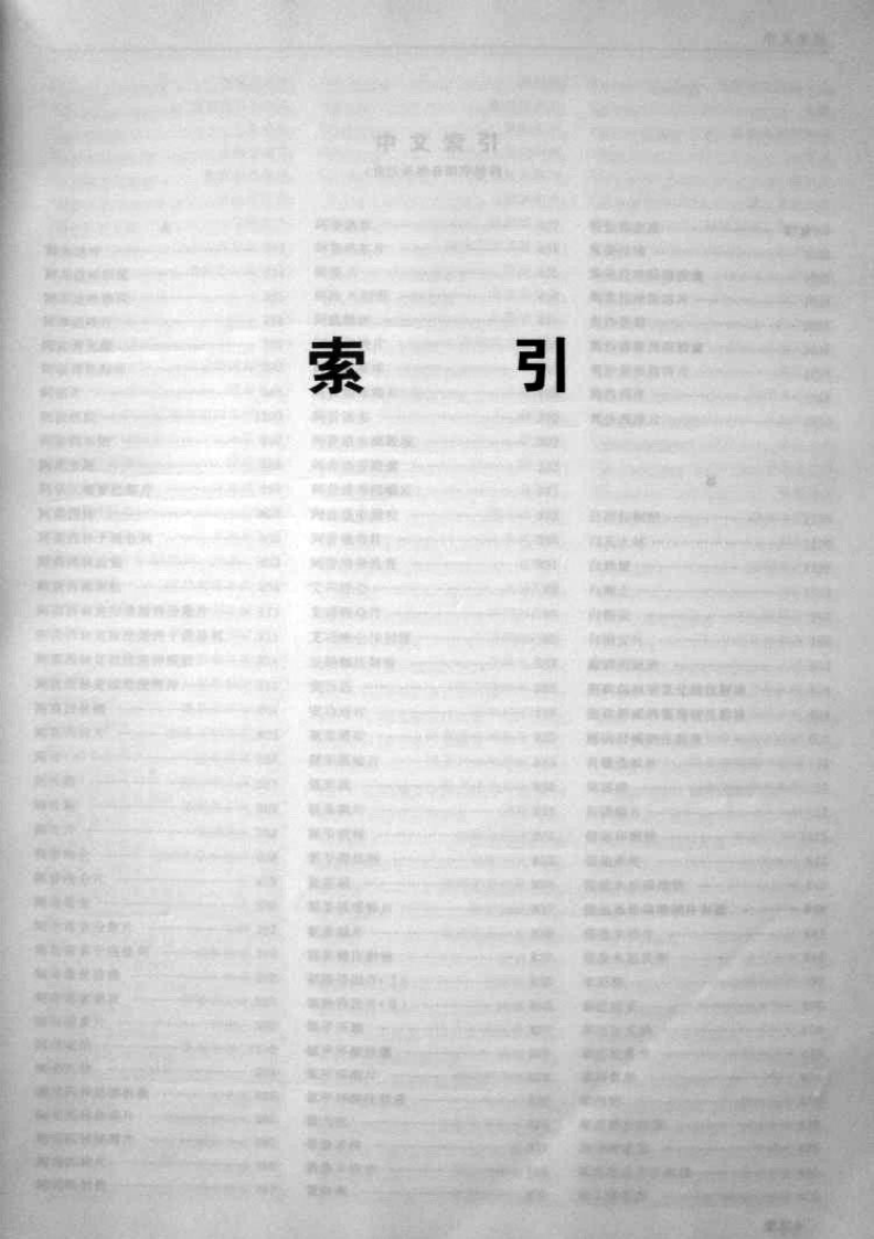 中国药典2010二部索引(扫描).pdf 第1页