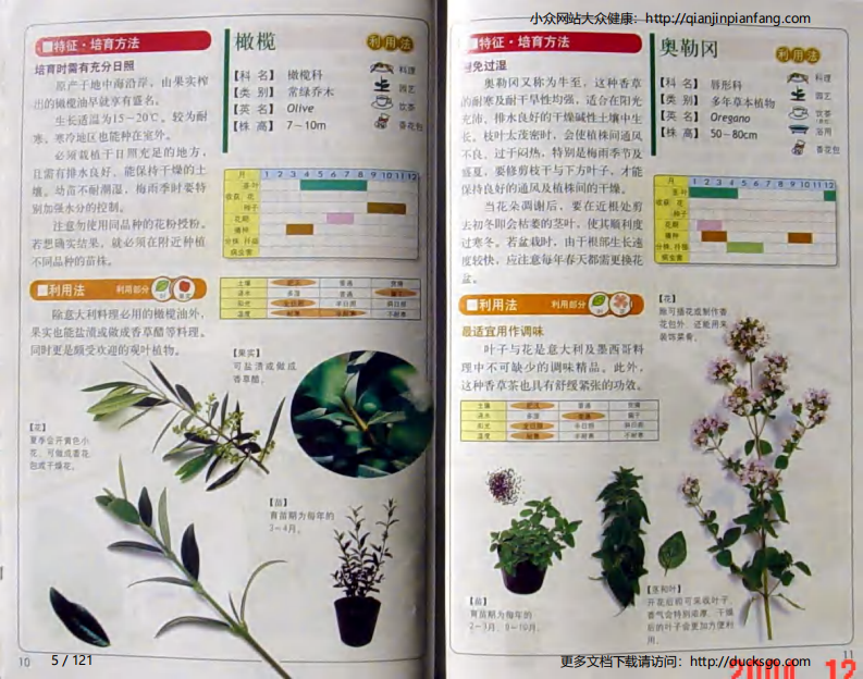 78种健康香草栽培.pdf 第5页