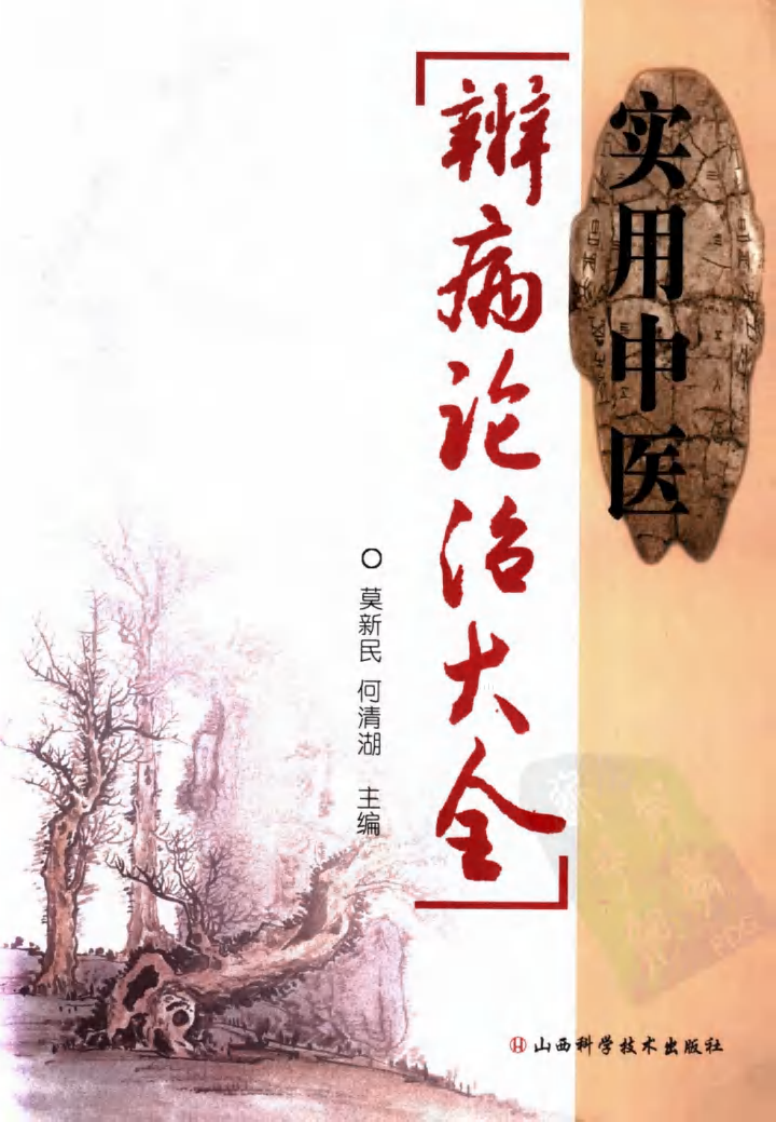 实用中医辨病诊治大全（高清版）.pdf 第1页