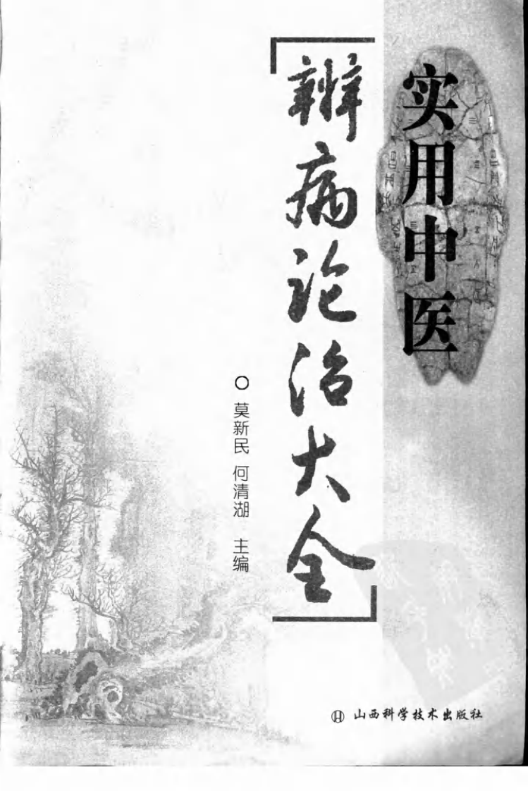 实用中医辨病诊治大全（高清版）.pdf 第3页
