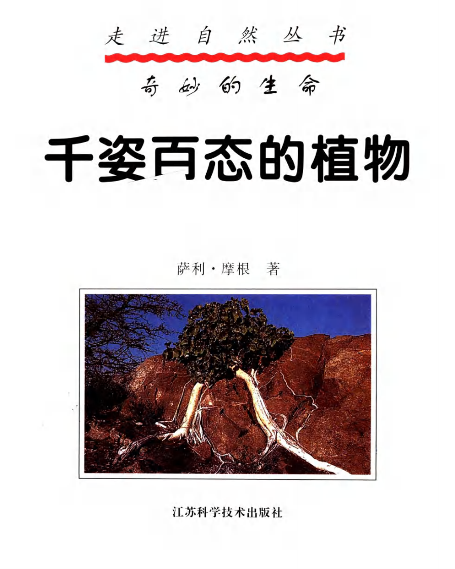 奇妙的生命·图集 （英）萨利·摩根着.pdf 第3页
