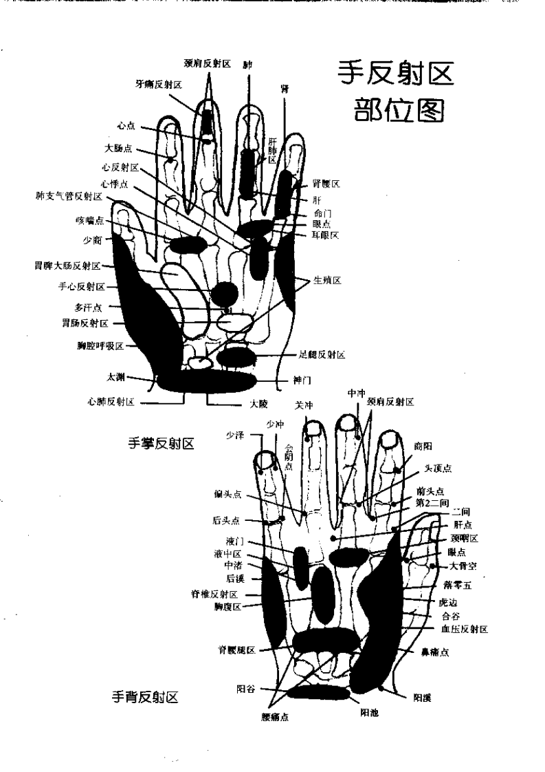 手足按摩保健图解（山东科学技术出版社1999）.pdf 第4页