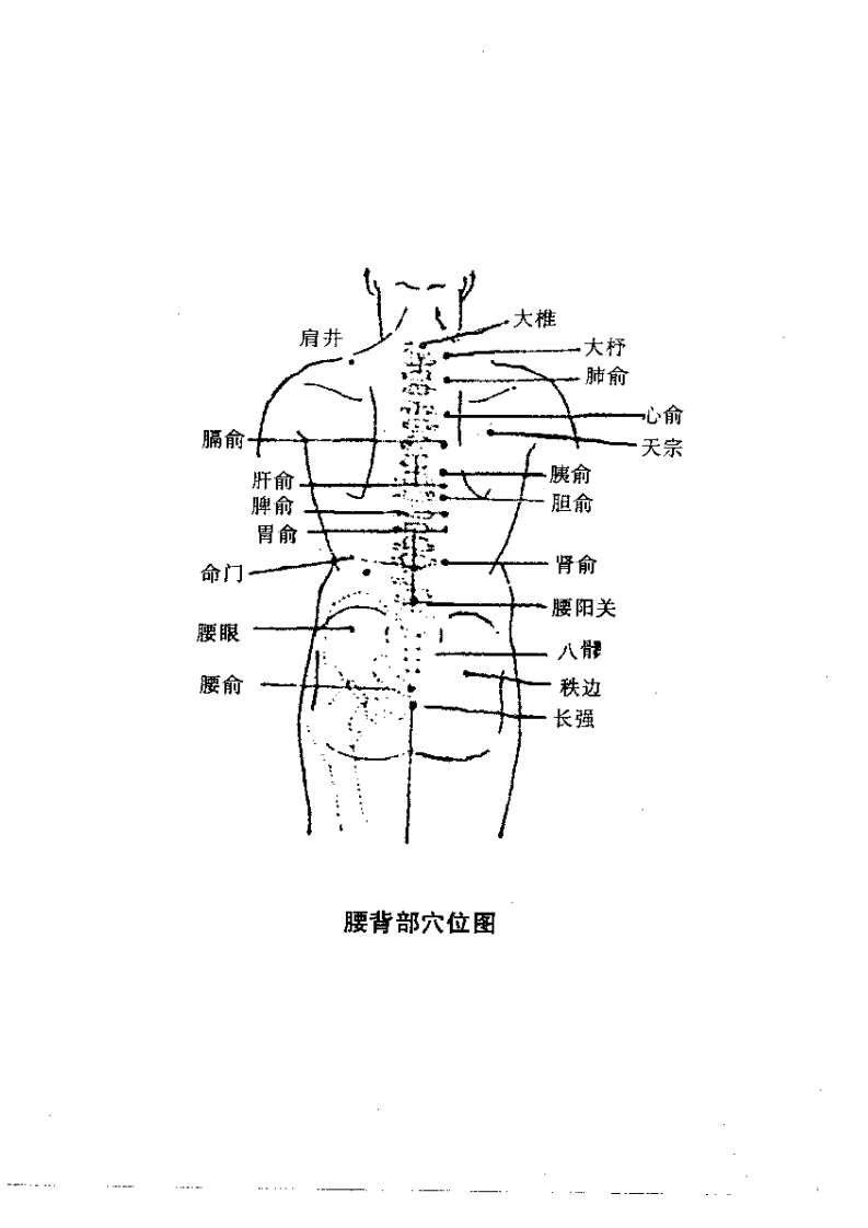 按摩全书.pdf 第5页