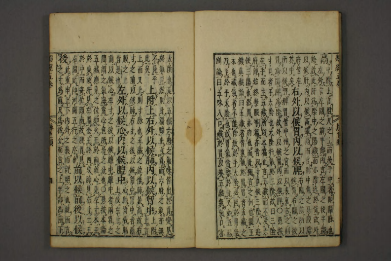 类经-明-张景岳-日本日稻田大学收藏版_0005.pdf 第5页