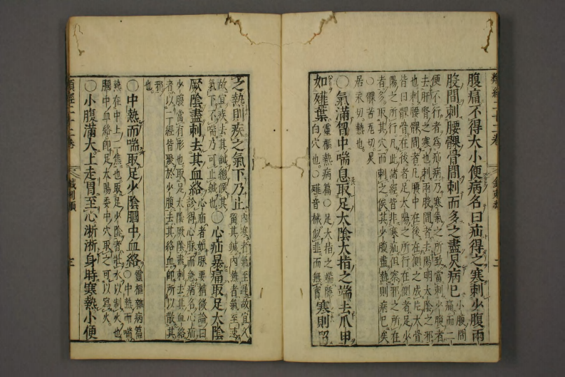 类经-明-张景岳-日本日稻田大学收藏版_0020.pdf 第4页