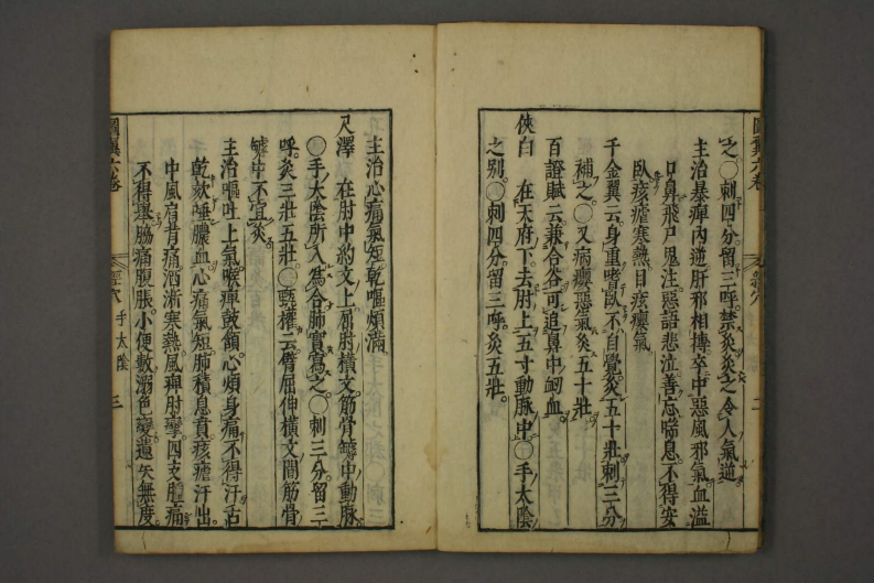 类经-明-张景岳-日本日稻田大学收藏版_0035.pdf 第4页