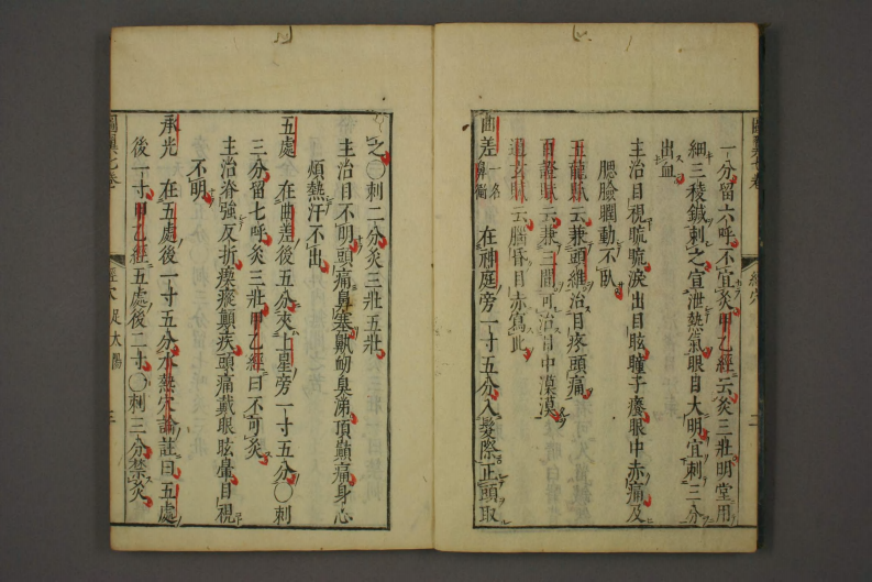 类经-明-张景岳-日本日稻田大学收藏版_0036.pdf 第5页