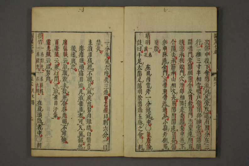 类经-明-张景岳-日本日稻田大学收藏版_0036.pdf 第4页