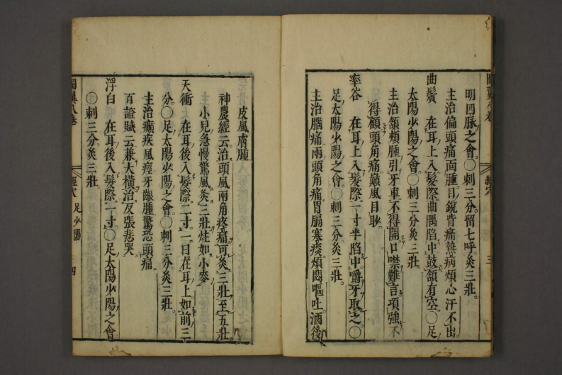 类经-明-张景岳-日本日稻田大学收藏版_0037.pdf 第5页