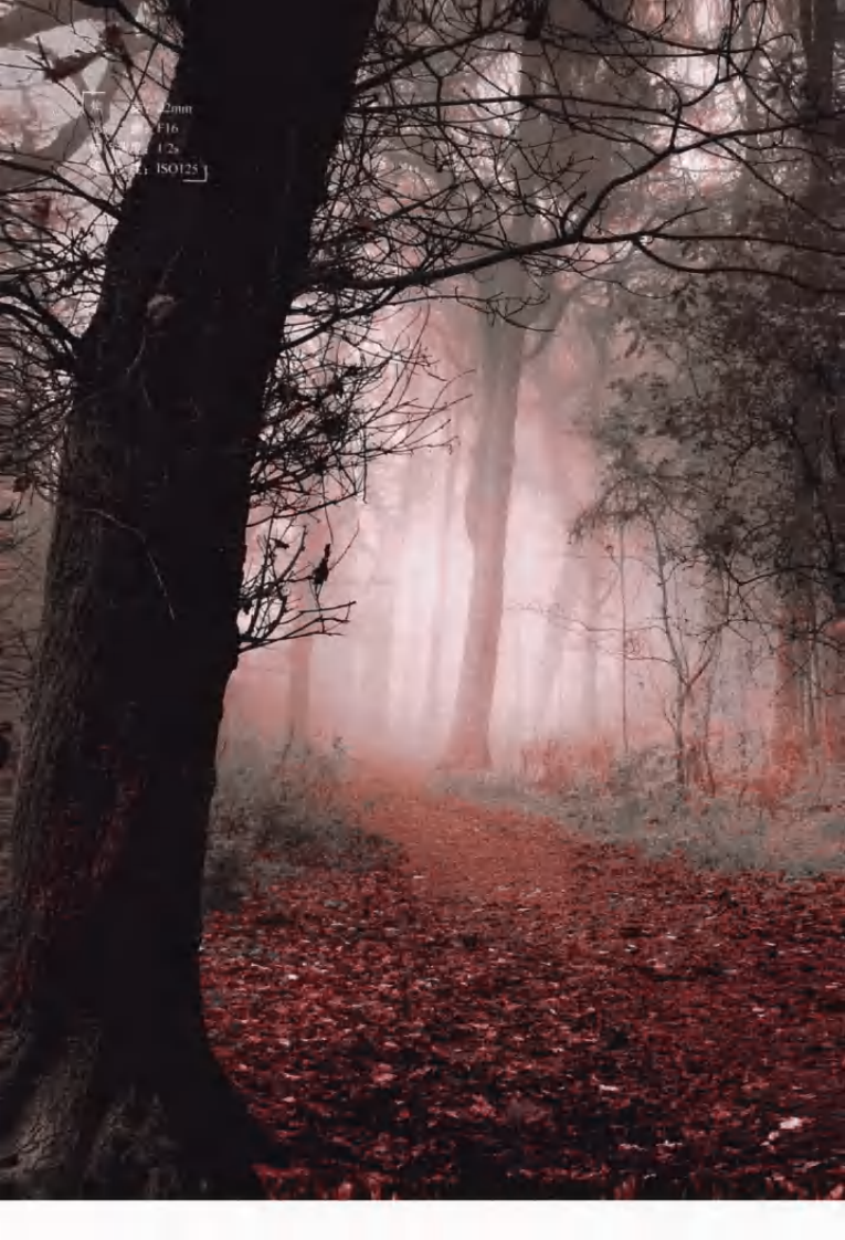 Canon EOS 600D数码单反摄影技巧大全.pdf 第5页