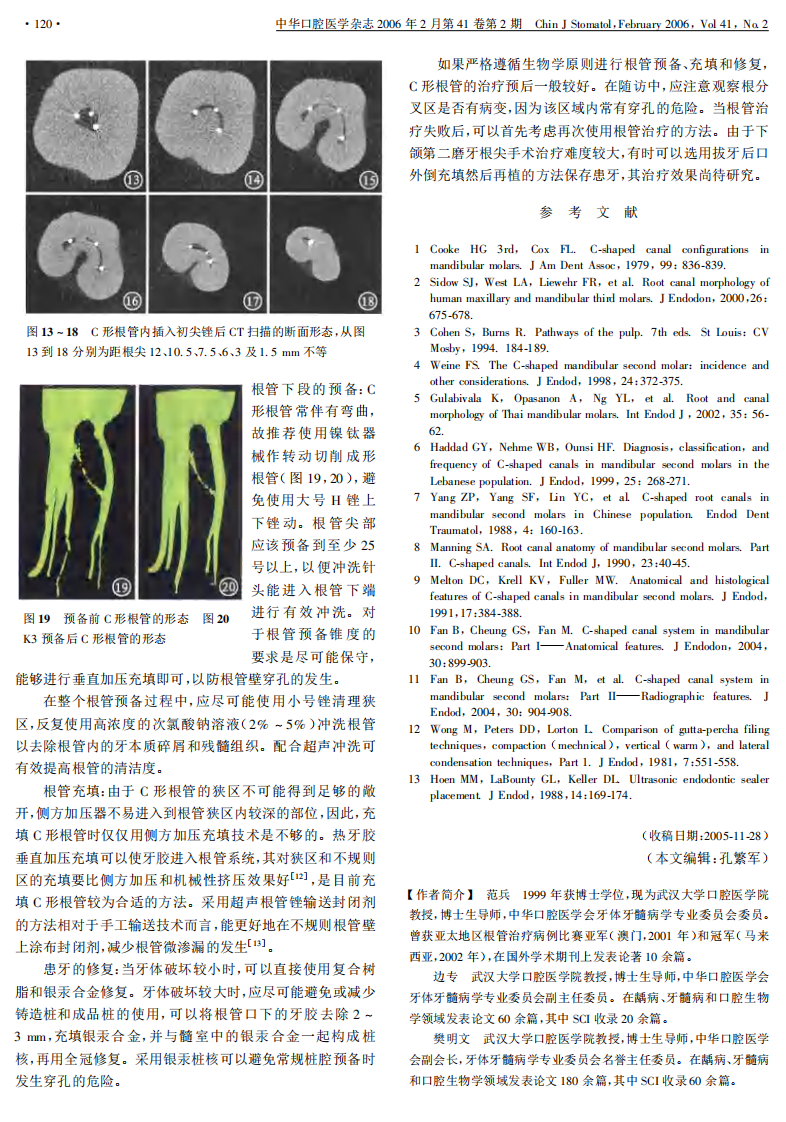 牙体牙髓临床治疗Ⅰ.C形根管的形态、识别和治疗.pdf 第3页