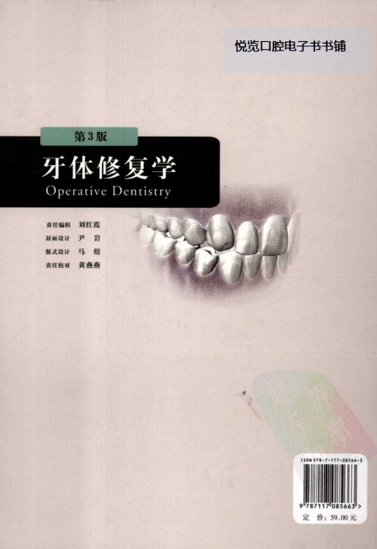 牙体修复学  （第三版）.pdf 第2页