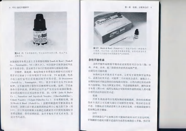 PDQ速成牙髓病学.pdf 第4页