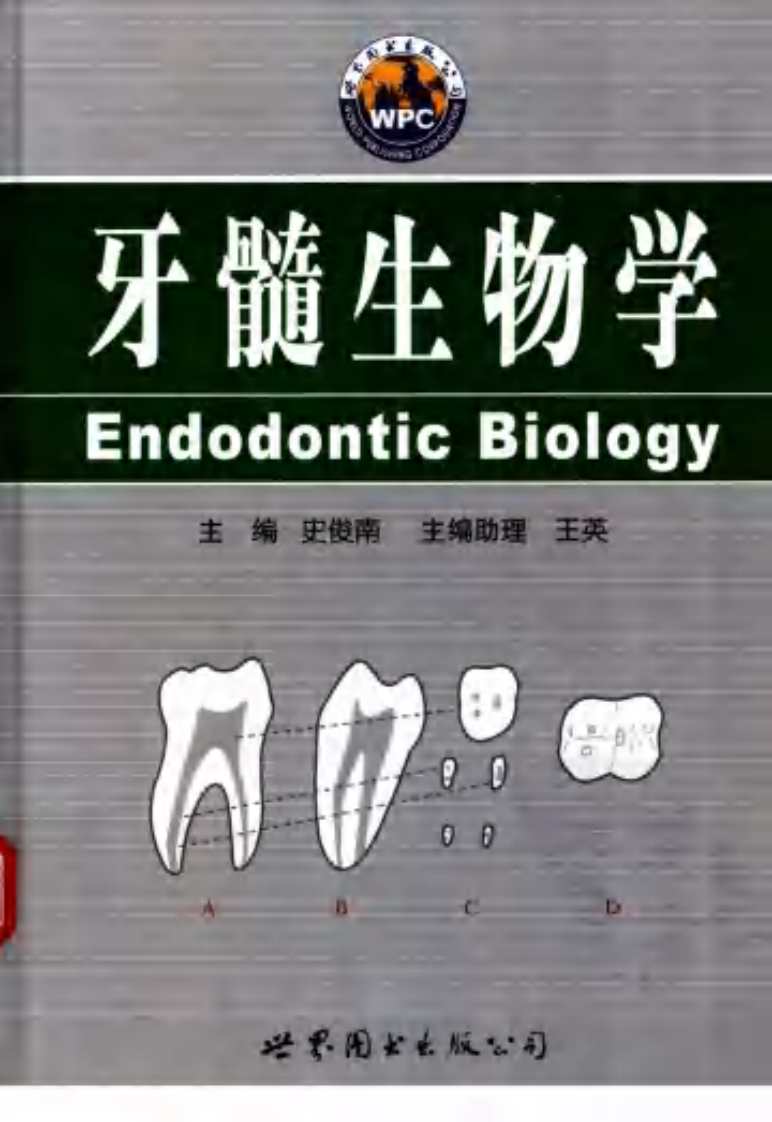 牙髓生物学.pdf 第1页