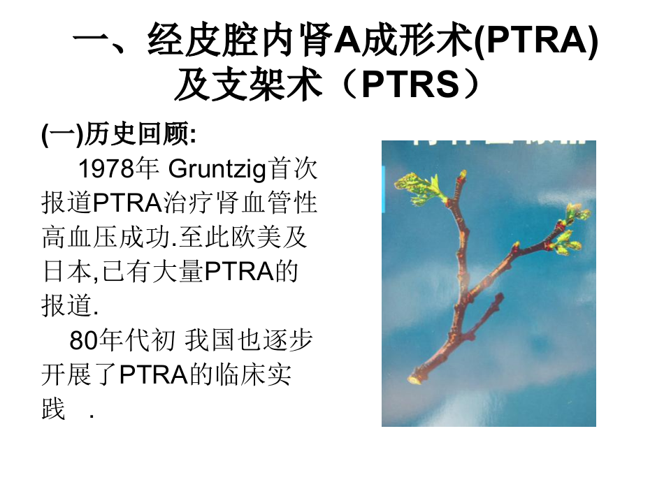 04-05 泌尿生殖系统介入放射学.ppt 第2页