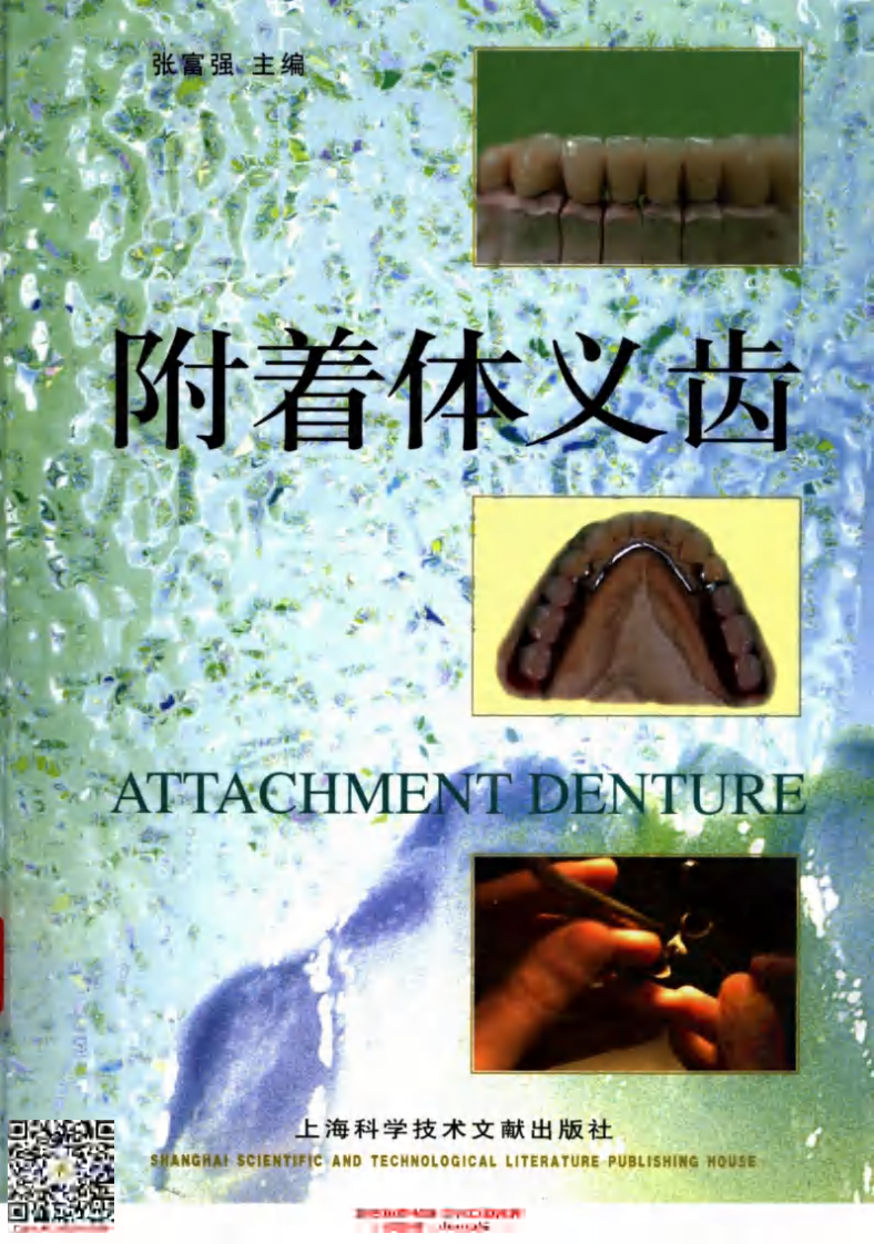 附着体义齿_张富强2005.pdf 第1页