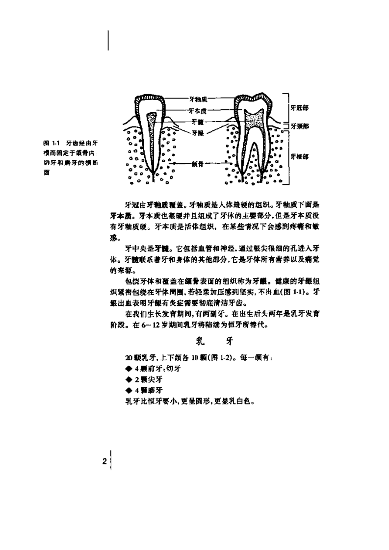 非创伤性修复治疗手册—控制龋的途径.pdf 第3页