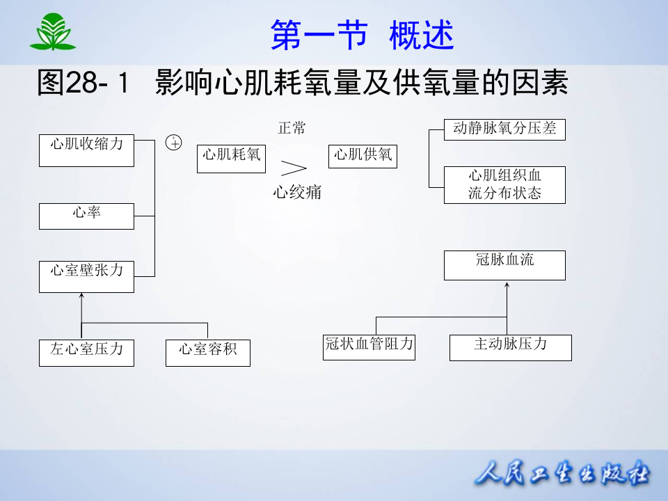 第二十八章 抗心绞痛药.ppt 第5页