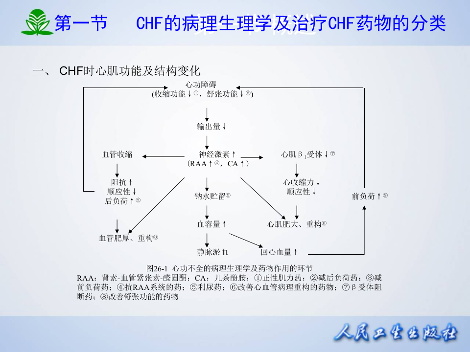 第二十六章  治疗心力衰竭的药物.ppt 第4页