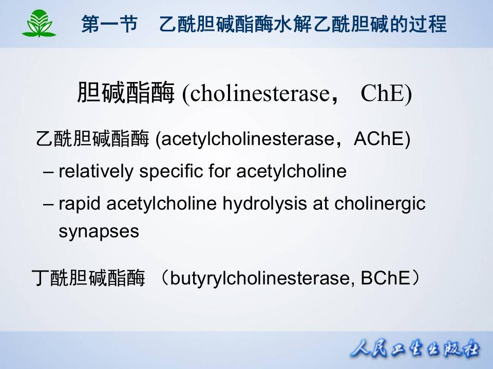 第七章 抗胆碱酯酶药和胆碱酯酶复活药.ppt 第5页