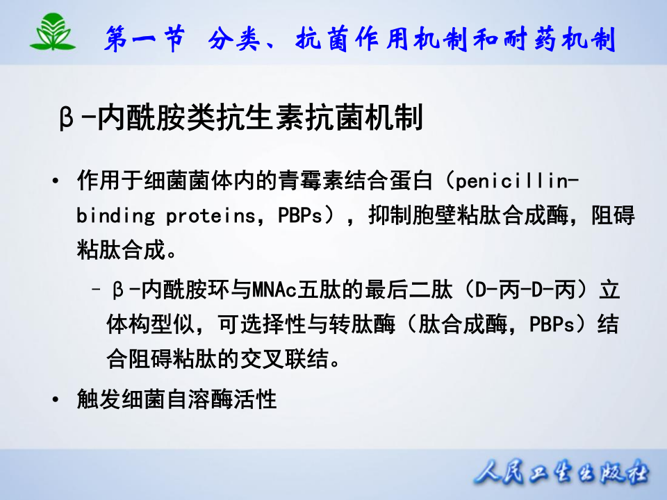 第三十九章  β-内酰胺类抗生素.ppt 第5页