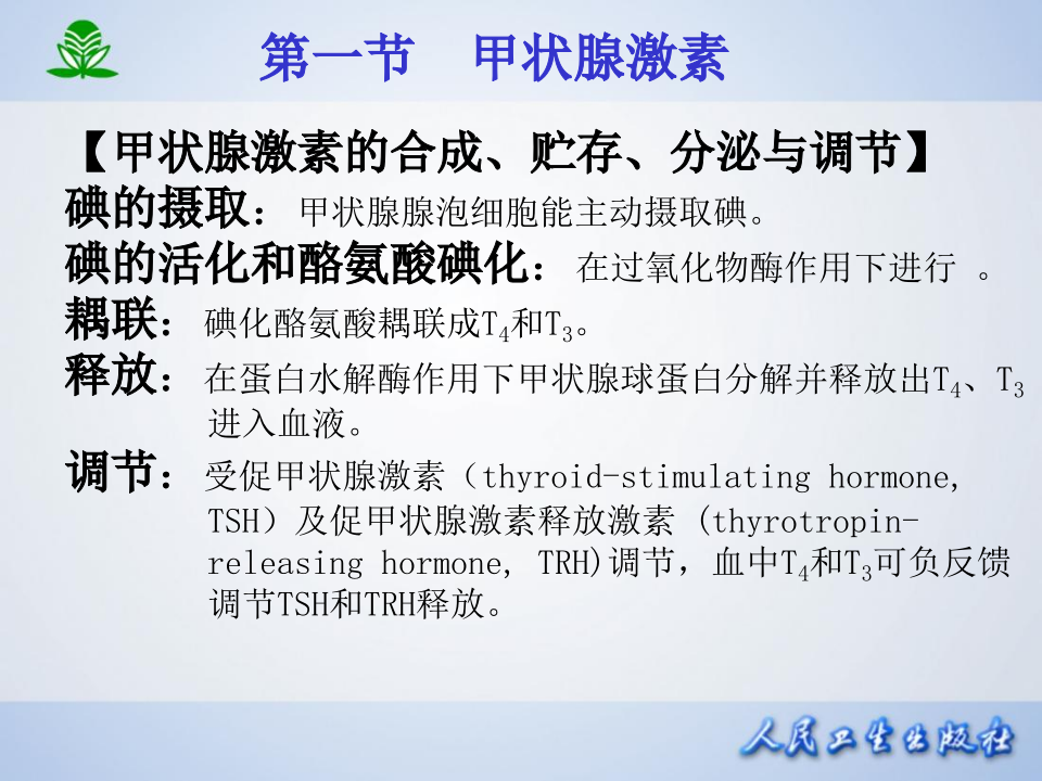 第三十六章  甲状腺激抗甲状腺药.ppt 第4页