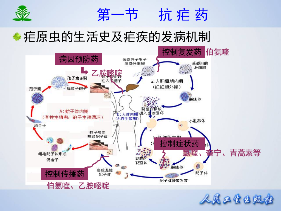 第四十六章  抗寄生虫药.ppt 第5页