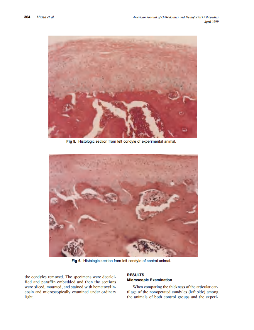 1999_115_4_360_367_Mussa.pdf 第5页