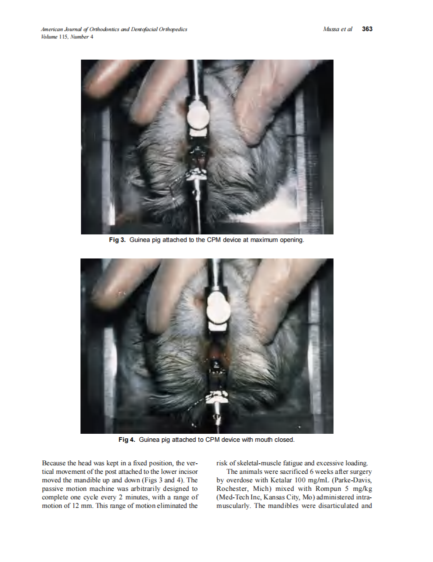 1999_115_4_360_367_Mussa.pdf 第4页