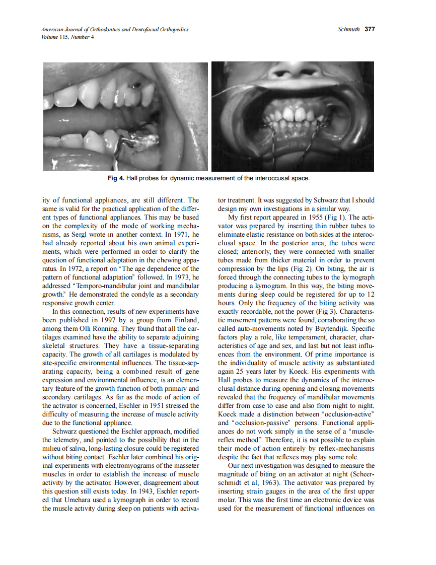 1999_115_4_373_381_Schmuth.pdf 第5页
