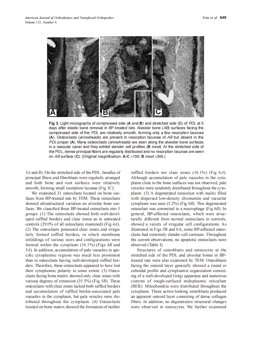 1999_115_6_06.pdf 第5页