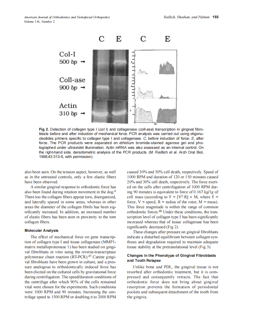 Redlich_1999_116_2_by_OrTHoTaMiNe.pdf 第4页