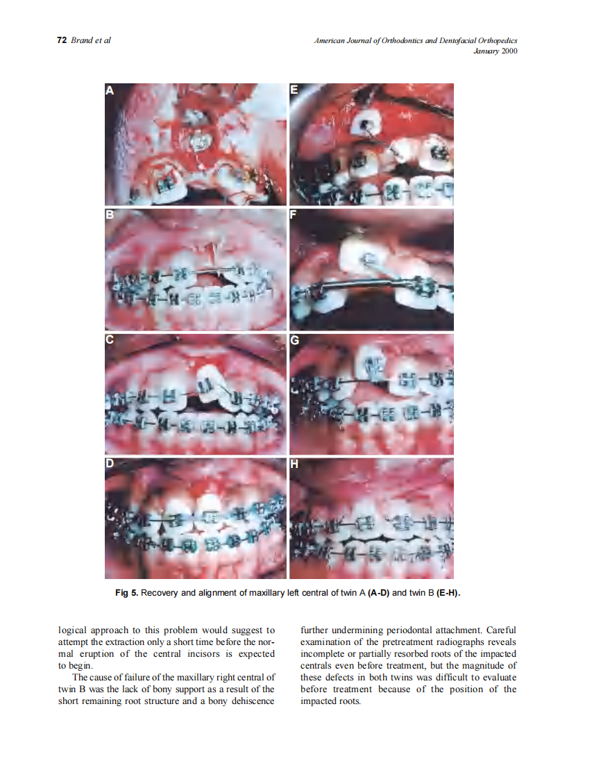 2000_117_1_68_74_Brand.pdf 第5页