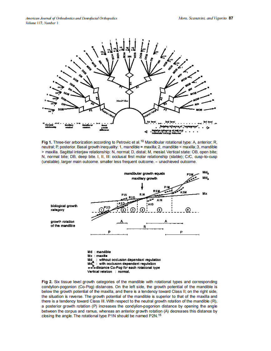 2000_117_1_86_97_Moro.pdf 第2页