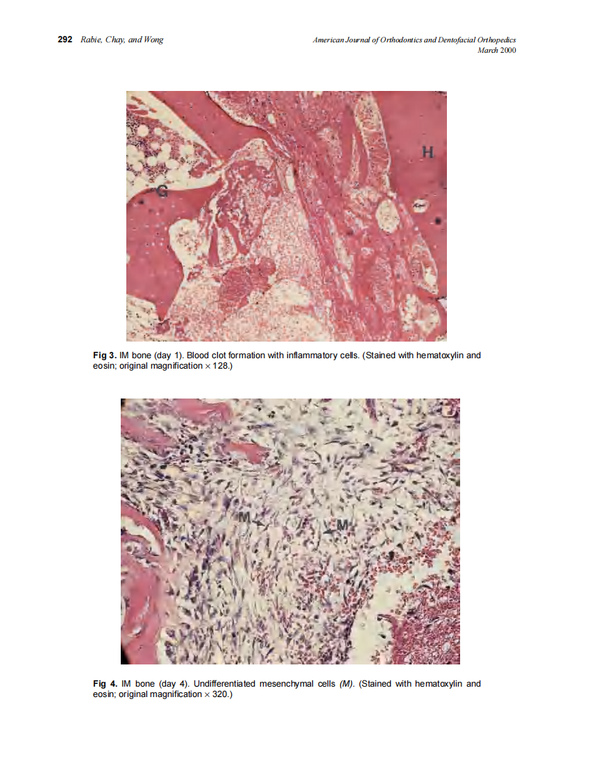 2000_117_3_288_297_Rabie.pdf 第5页