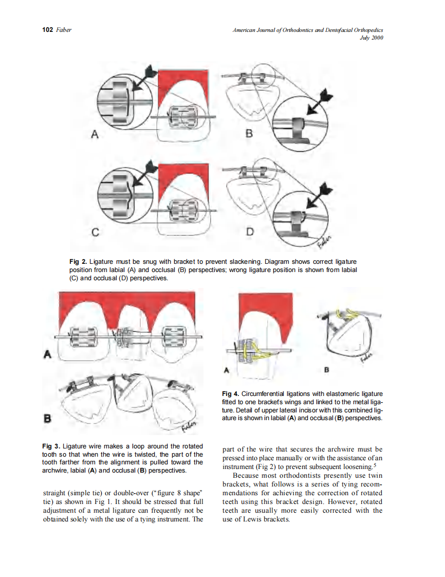 2000_118_1_101_106_Faber.pdf 第2页