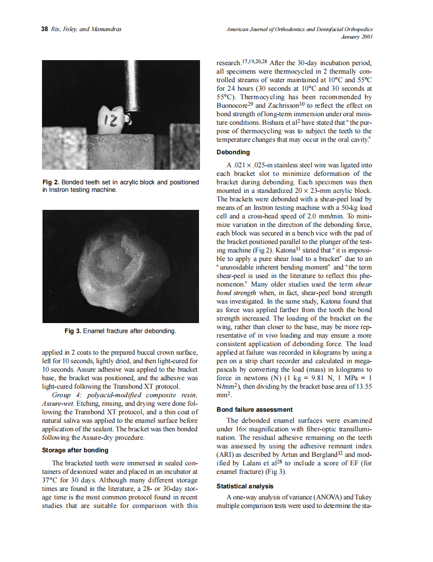 2001_119_1_36_42_Rix.pdf 第3页