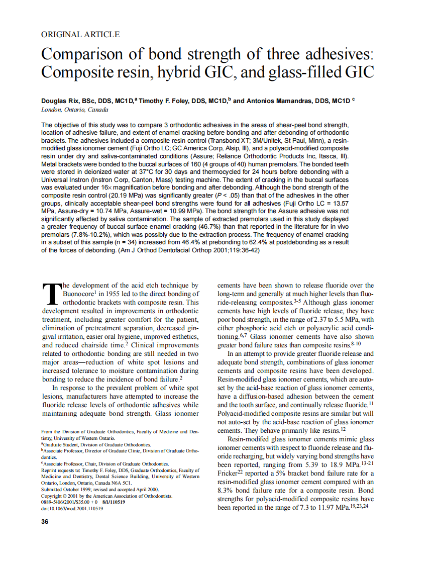 2001_119_1_36_42_Rix.pdf 第1页