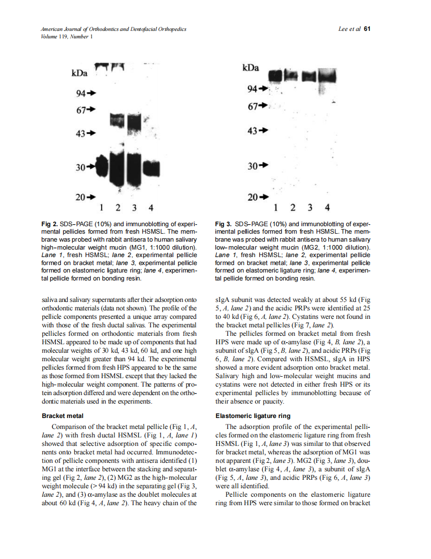2001_119_1_59_66_Lee.pdf 第3页