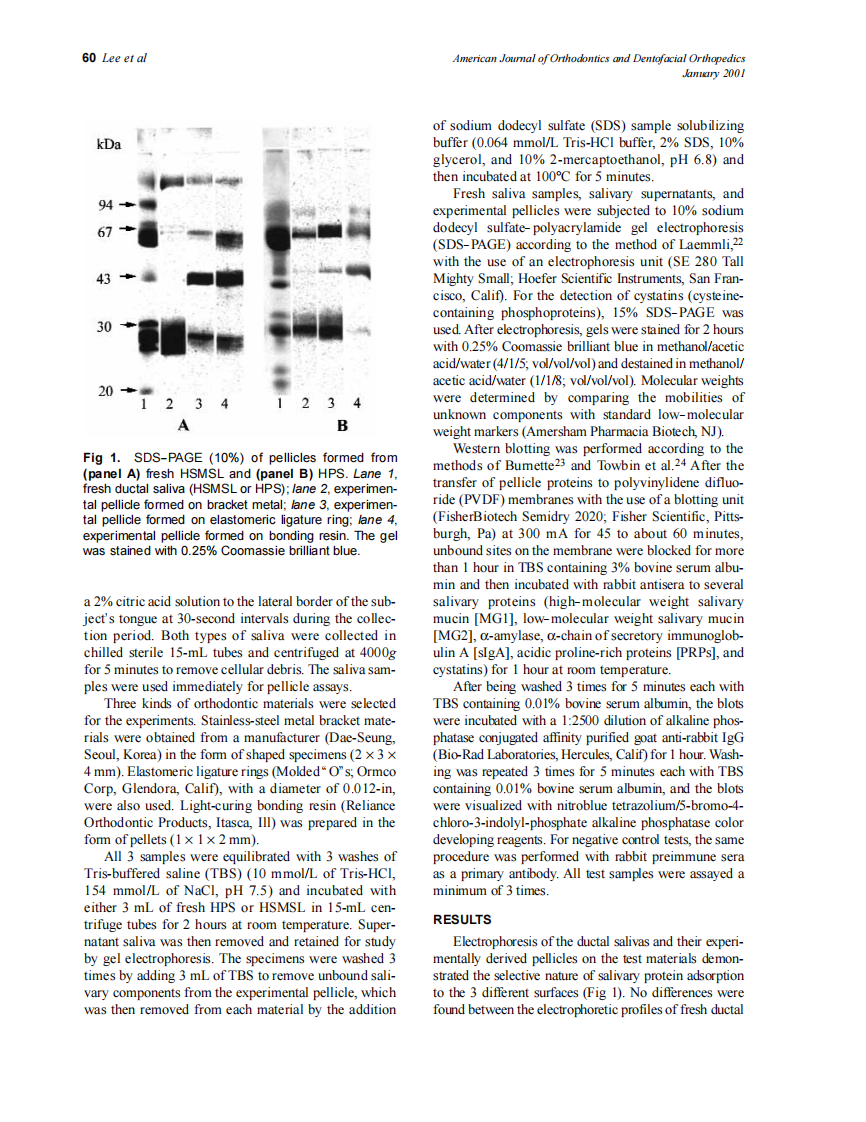 2001_119_1_59_66_Lee.pdf 第2页