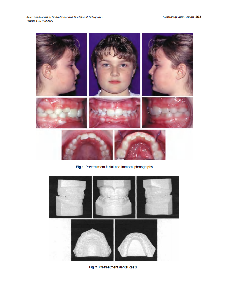 2001_119_3_202_210_Kenworthy.pdf 第2页