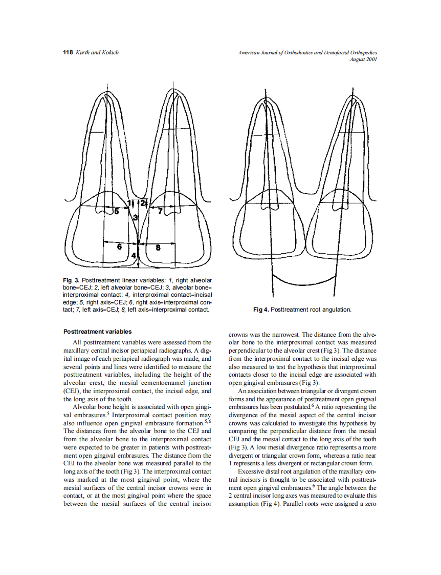 2001_120_2_116_123_Kurth.pdf 第3页
